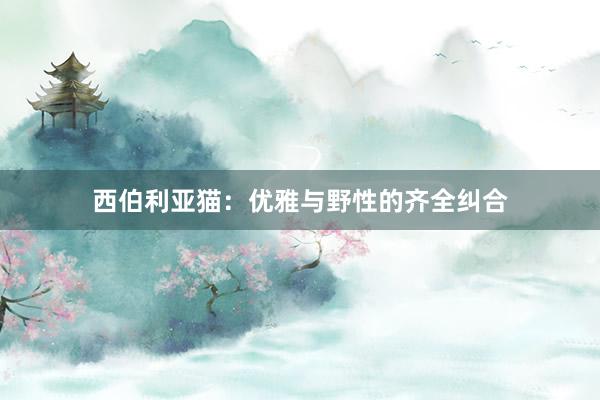 西伯利亚猫：优雅与野性的齐全纠合
